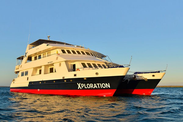 Celebrity Xploration